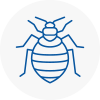 Bed Bug Extermination In Isle Of Dogs