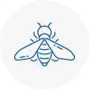 Bee Nest Removal Isle Of Dogs