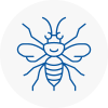 Isle Of Dogs Hornet Nest Removals