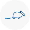 Mice Exterminators In Isle Of Dogs