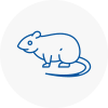 Rat Control Isle Of Dogs