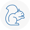 Isle Of Dogs Rodent Removals