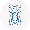 Isle Of Dogs Wasp Nest Removal